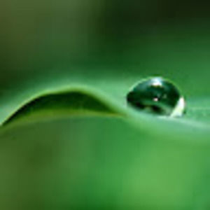 Meet your Posher, Aimless